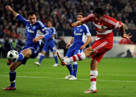 他都已在大 他都已在大